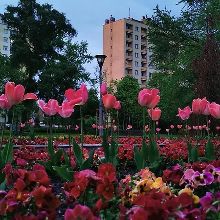 D&t Center View Διαμέρισμα *