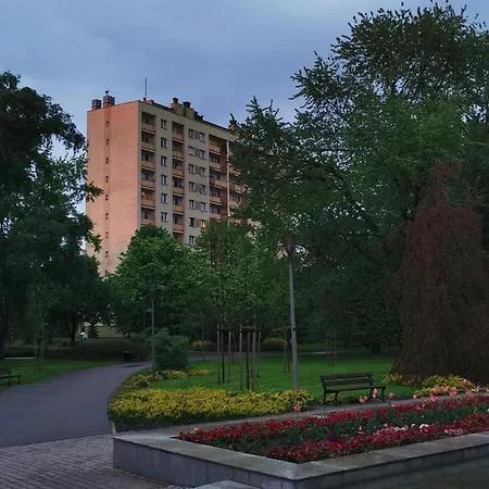 D&t Center View Rzeszów