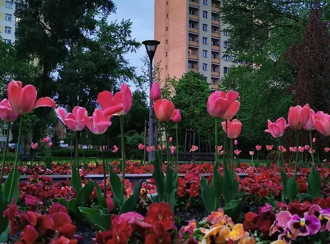 D&t Center View Appartement *